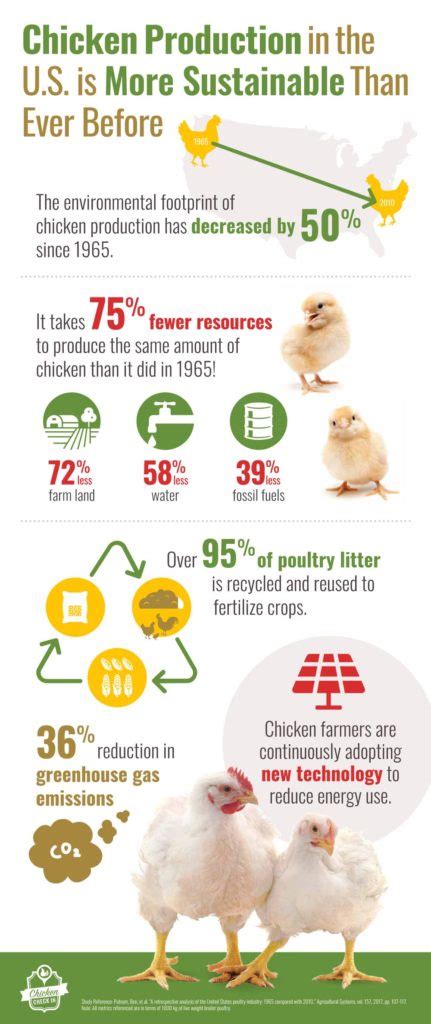 poultry feed suppliers|Assessing the Impact of On.